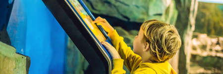 The boy in the yellow jacket uses a touch screenの写真素材