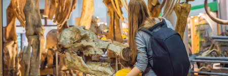 Mom and son watching dinosaur skeleton in museum. BANNER, LONG FORMAT