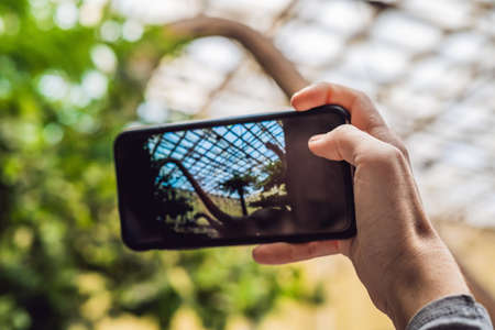 woman use mobile phone and blurred image of people in the dinosaur exhibition.の写真素材