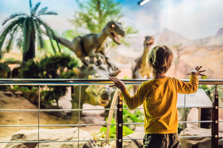 Boy in a yellow jacket watching dinosaur in museum.の写真素材