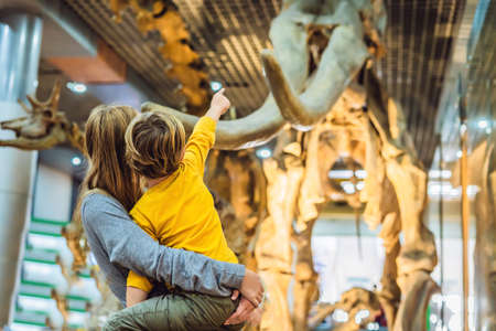 Mom and son watching dinosaur skeleton in museum.の写真素材