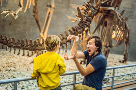 Dad and boy watching dinosaur skeleton in museum.の写真素材