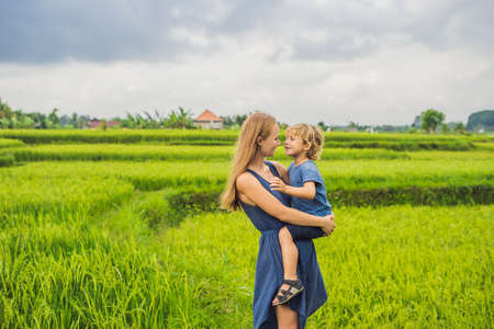 Mom and son on the rice field of rice terraces, Ubud, Bali, Indonesia.の写真素材