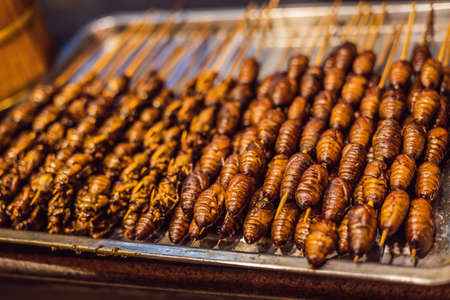 Grill and fried silkworm pupae on stick from Wangfujing street at Beijing, Chinaの写真素材