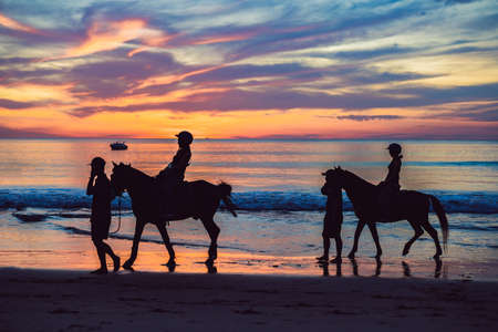 Silhouette photo of horse riding in the evening sunset time , dramatic styleの写真素材