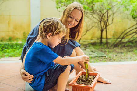 Beautiful young woman and her cute son planting seedlings in bed in the domestic garden at summer day. Garden tools, gloves and watering can outdoors. Gardening activity with little kid and familyの写真素材