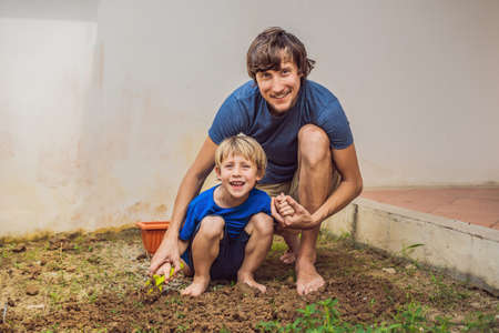 Father and son gardening in the garden near the houseの写真素材