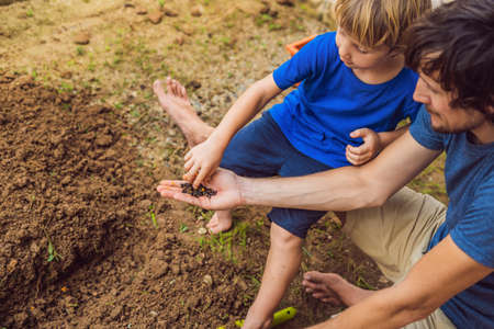 Father and son gardening in the garden near the houseの写真素材