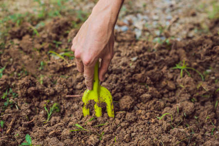 A mans hand with a garden tool. Man gardeningの写真素材