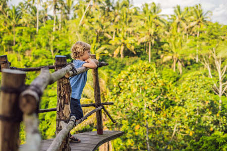 Boy traveler on view point in the background of a jungle, Bali, Indonesiaの写真素材