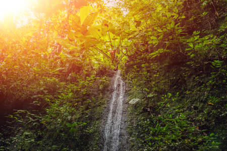 Large waterfalls in green tropical forest focus on waterfall Bali with sunlight