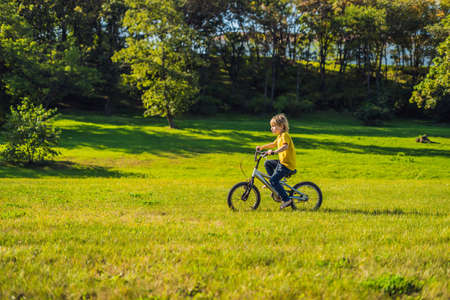 Happy kid boy of 5 years having fun in the park with a bicycle on beautiful dayの写真素材