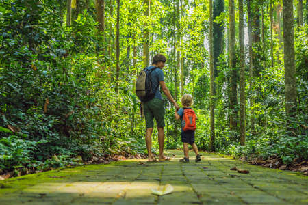 Dad and son travelers discovering Ubud forest in Monkey forest, Bali Indonesia. Traveling with children conceptの写真素材