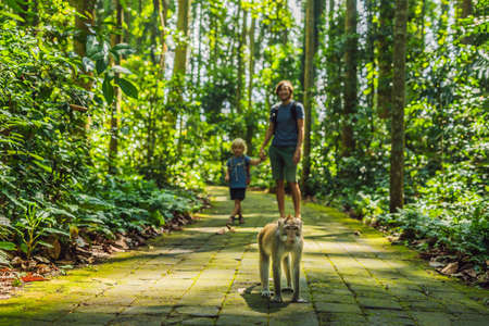 Dad and son travelers discovering Ubud forest in Monkey forest, Bali Indonesia. Traveling with...