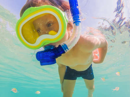 Underwater nature study, boy snorkeling in clear blue seaの写真素材