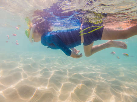 Underwater nature study, boy snorkeling in clear blue seaの写真素材