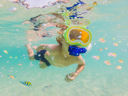 Underwater nature study, boy snorkeling in clear blue sea