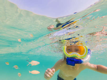 Underwater nature study, boy snorkeling in clear blue seaの写真素材