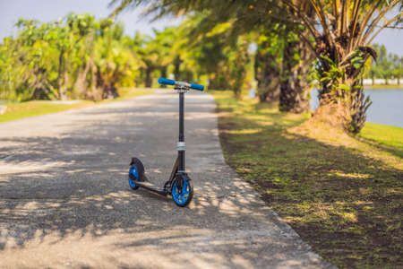 Kick scooter in the park. Outdoor activity for children on safe residential street. Active sport for preschool kidの写真素材