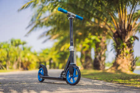 Kick scooter in the park. Outdoor activity for children on safe residential street. Active sport for preschool kidの写真素材