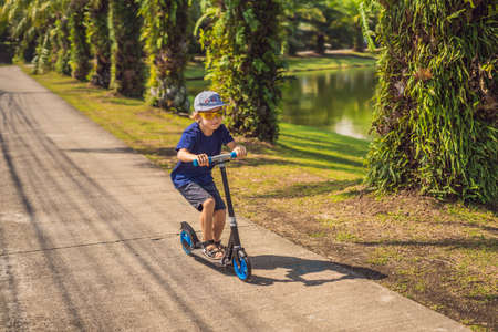 Child on kick scooter in park. Kids learn to skate roller board. Little boy skating on sunny summer day. Outdoor activity for children on safe residential street. Active sport for preschool kidの写真素材