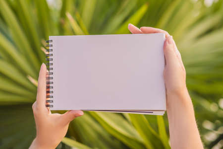 Womens hands in a tropical  holding a signboard, drawing block, paper, mockup