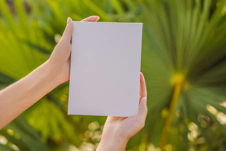 Womens hands in a tropical  holding a signboard paper, mockup