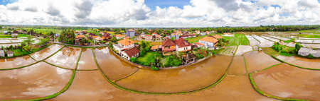 The rice fields are flooded with water. Flooded rice paddies. Agronomic methods of growing rice in...