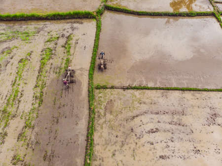 tractor on the rice field. view from the droneの写真素材