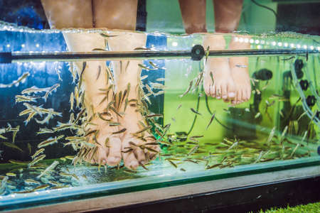 Mom and son at the fish spaの写真素材