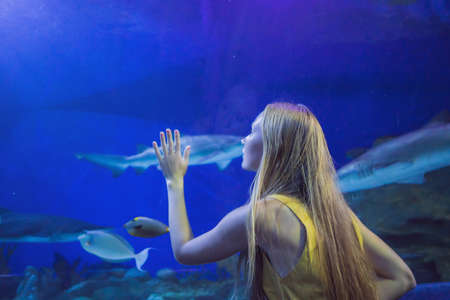 Young woman touches a stingray fish in an oceanarium tunnelの写真素材