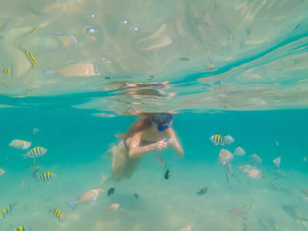 Happy woman in snorkeling mask dive underwater with tropical fishes in coral reef sea pool. Travel lifestyle, water sport outdoor adventure, swimming lessons on summer beach holidayの写真素材