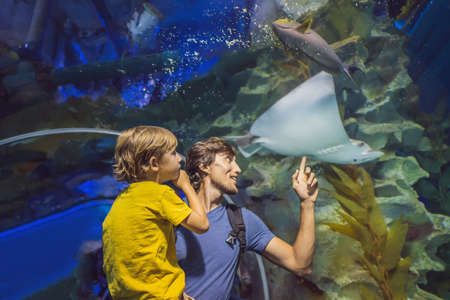 Father and son looking at fish in a tunnel aquariumの写真素材