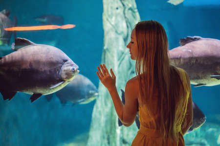 Young woman touches a stingray fish in an oceanarium tunnelの写真素材