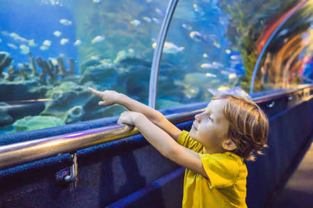 Little boy, kid watching the shoal of fish swimming in oceanarium, children enjoying underwater life in Aquariumの写真素材