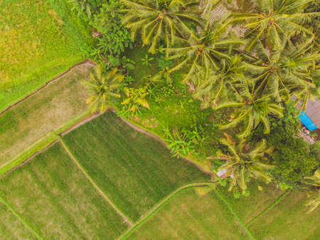 Image of beautiful Terraced rice field in water season and Irrigation