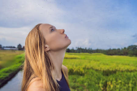 Mosquitoes around a woman on the nature on the fieldの写真素材