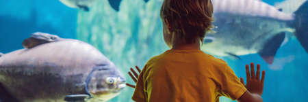 Little boy, kid watching the shoal of fish swimming in oceanarium, children enjoying underwater life...