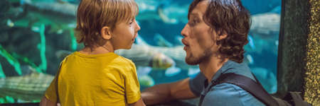 Father and son looking at fish in a tunnel aquarium BANNER, LONG FORMAT