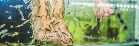 Mom and son at the fish spa BANNER, LONG FORMAT
