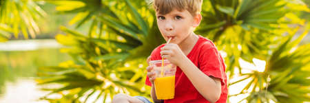 Boy drink healthy smoothies against the backdrop of palm trees. Mango smoothies. Healthy nutrition and vitamins for children BANNER, LONG FORMATの写真素材