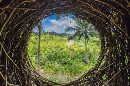 Bali trend, straw nests everywhere. Bali island, Indonesiaの写真素材