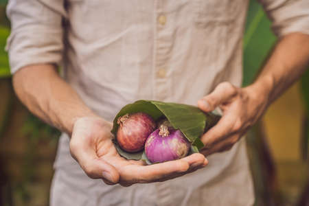 Eco-friendly product packaging concept. Onion wrapped in a banana leaf, as an alternative to a...