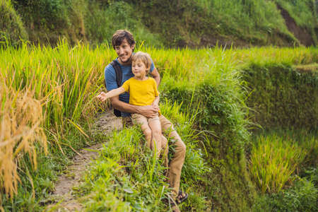 Dad and son travelers on Beautiful Rice Terraces against the background of famous volcanoes in Bali, Indonesia Traveling with children conceptの写真素材