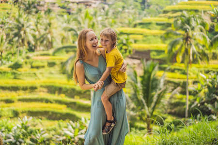 Mom and son on the rice field in the background of rice terraces, Ubud, Bali, Indonesia. Traveling with children concept. Teaching children in practiceの写真素材