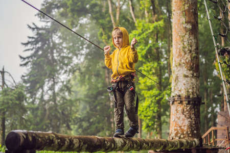 Little boy in a rope park. Active physical recreation of the child in the fresh air in the park. Training for childrenの写真素材