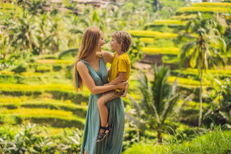 Mom and son on the rice field in the background of rice terraces, Ubud, Bali, Indonesia. Traveling with children concept. Teaching children in practiceの写真素材