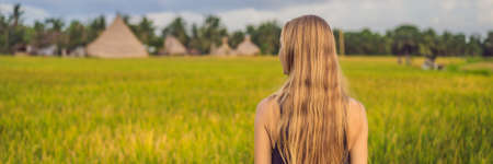 Women tourists enjoy the panoramic view of the beautiful Asian scenery of rice fields BANNER, LONG FORMATの写真素材