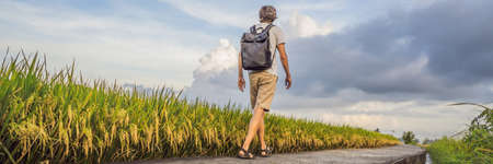 Male tourist with a backpack goes on the rice field BANNER, LONG FORMAT