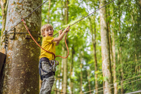 Little boy in a rope park. Active physical recreation of the child in the fresh air in the park. Training for childrenの写真素材